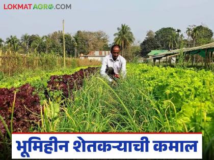 latest News Turnover of lakhs per month in ten-acre rented farm by bhandara district farmer | अशीही जिद्द, एक गुंठाही जमीन नाही, हा शेतकरी भाड्याच्या शेतीतून लाखोंची कमाई करतोय latest News Turnover of lakhs per month in ten-acre rented farm by bhandara district farmer | अशीही जिद्द, एक गुंठाही जमीन नाही, हा शेतकरी भाड्याच्या शेतीतून लाखोंची कमाई करतोय
