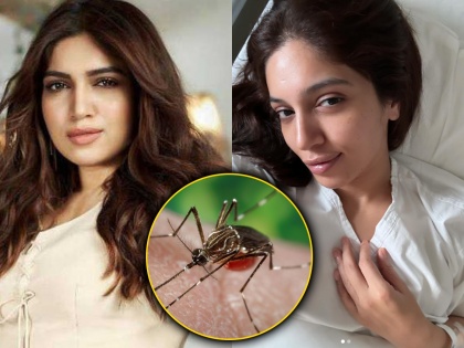 bollywood actress bhumi pednekar dignosed with dengue admitted in hospital shared photo | डेंग्यूमुळे भूमी पेडणेकरची तब्येत बिघडली, रुग्णालयातील फोटो शेअर करत म्हणाली, "गेले ८ दिवस..."