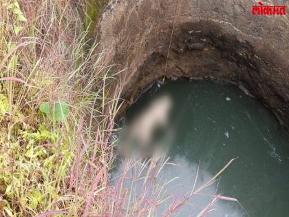 dead Leopard found in well at Mohadi, fourth incident in six months | मोहाडी येथे विहिरीत आढळला बिबट्याचा मृतदेह, सहा महिन्यातील चौथी घटना dead Leopard found in well at Mohadi, fourth incident in six months | मोहाडी येथे विहिरीत आढळला बिबट्याचा मृतदेह, सहा महिन्यातील चौथी घटना