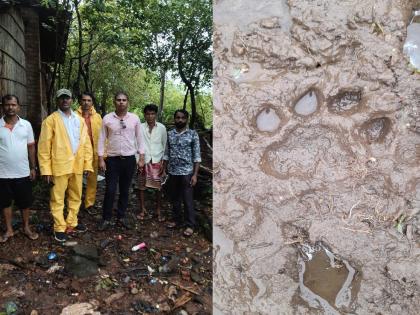 Leopards roam freely in Kasgaon area, killing chickens and goats | कासगाव परिसरात बिबट्याचा मुक्त वावर, बकऱ्या-कोंबड्यावर मारतोय ताव