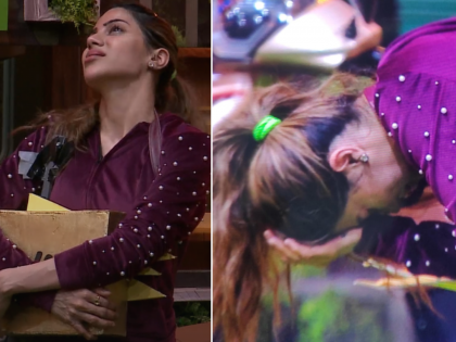 Bigg Boss Marathi Season 5nikki Tamboli Cried After Winning Less Amount In Mahachakravyuha Task | 'बिग बॉस'च्या घरात निक्की ढसढसा रडली, पण नेमकं काय घडलंं?