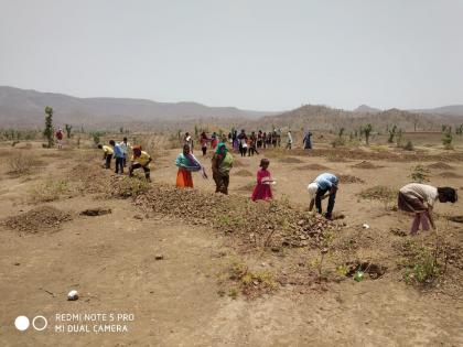 Planting of one lakh seeds done by tribal brothers in Satpuda ranges |  दुष्काळ ढिशक्याव...ढिशक्याव ; आदिवासी बांधवांनी केले एक लाख बियांचं रोपण