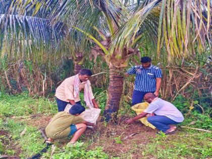 After the death of her husband, the mangalsutra was not removed, instead of immersing it in the Raksha river, it was placed on a tree The decision of Parit family from Bilashi in Sangli district | Sangli: पतीच्या निधनानंतर सौभाग्यालंकार न उतरवण्याचा निर्णय; बिळाशीत परीट कुटुंबियांचा चुकीच्या रूढींना विरोध