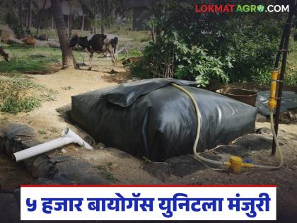 Approval for five thousand more biogas units; Now you will get an improved biogas model | आणखी पाच हजार बायोगॅसच्या युनिटला मिळाली मंजुरी; आता मिळणार सुधारित बायोगॅस मॉडेल Approval for five thousand more biogas units; Now you will get an improved biogas model | आणखी पाच हजार बायोगॅसच्या युनिटला मिळाली मंजुरी; आता मिळणार सुधारित बायोगॅस मॉडेल
