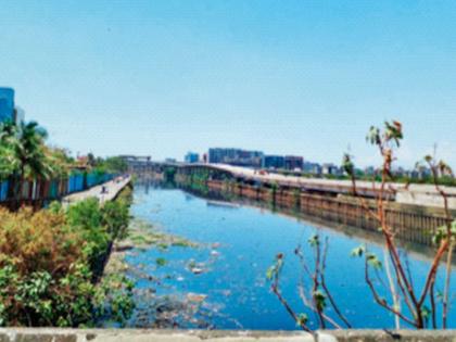 Mithi river will be flood free | मिठी नदी होणार पूरमुक्त; विहारचे पाणी जलशुद्धीकरण केंद्राकडे वळवणार