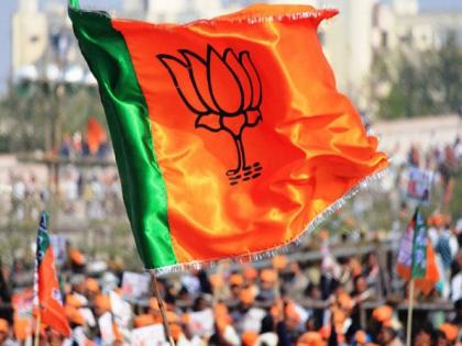 BJP's special strategy for thirteen seats in Delhi | दिल्लीतील विधानसभा निवडणूकीत तेरा जागांसाठी भाजपची खास रणनीती