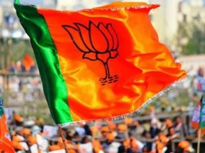 Victory of BJP led Grand Alliance says thane bjp leader | भाजपच्या नेतृत्वाखाली महायुतीचा विजय; ठाण्यात भाजपने दिला नारा