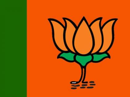 BJP to give notice to absentee office bearers | दांडीबहाद्दर पदाधिकाऱ्यांना भाजप देणार नोटीस