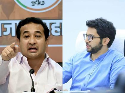 Doing voice therapy with government money Nitesh Rane's warning to Aditya Thackeray | 'सरकारी पैशातून Voice थेरेपी करत...'; नितेश राणेंचा आदित्य ठाकरेंना इशारा