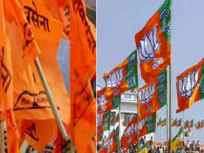 BJP never allowed Shiv Sena to grow, Opinion of Shiv Sena Sangli District Chief | भाजपने कधीही शिवसेना मोठी होऊ दिली नाही, राष्ट्रवादी परवडली; शिवसेना जिल्हाप्रमुखाचे मत