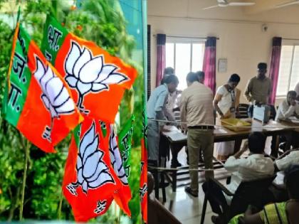 BJP leads in Gram Panchayat elections in Sindhudurg district in preliminary results | Gram Panchayat Election Result: सिंधुदुर्ग जिल्ह्यात सुरूवातीच्या कलात भाजपची सरशी