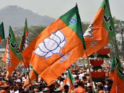 Delay in BJP's first list? Discussions with allies in the state are pending | भाजपच्या पहिल्या यादीला उशीर? राज्यातील मित्रपक्षांशी चर्चा प्रलंबित