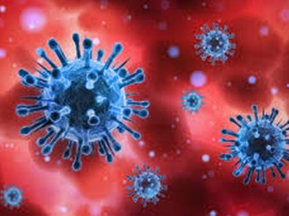 CoronaVirus in Buldhana: 54 more positive; The number of patients is 2,689 | CoronaVirus in Buldhana : आणखी ५४ पॉझिटिव्ह; रुग्णसंख्या २,६८९