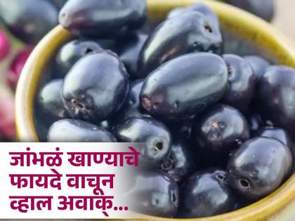 Black plum is beneficial in piles stones and kidney diseases, know benefits | लिव्हर आणि किडनीसाठी फायदेशीर ठरतात जांभळं, जाणून घ्या कसं कराल सेवन!