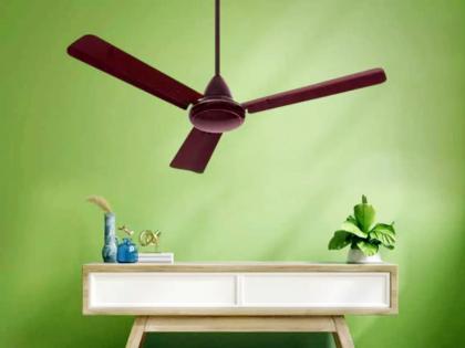 environment friendly BLDC ceiling fans for energy efficient performance | Ceiling Fans: घरातील पंखे बदलून वाचवता येईल वीज; कमी होईल खिशावरचा भार, पर्यावरणालाही लागेल हातभार