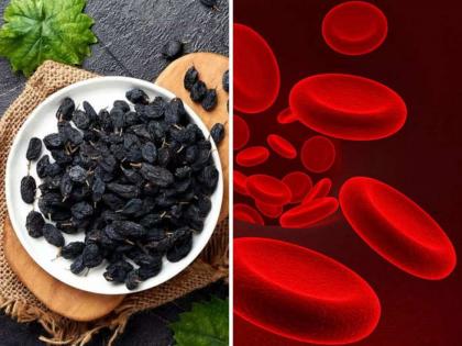 According to expert 6 amazing health benefits of eating soaked black raisins | रात्रभर भिजवून हे फळ खाल्लं तर वेगाने वाढेल रक्त आणि हाडेही होतील मजबूत