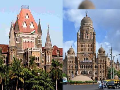 deadline for shop till 30 September to named in marathi bmc informed to high court | मराठी पाट्यांसाठी तारखेवर तारीख; दुकानांना ३० सप्टेंबरपर्यंत मुदत