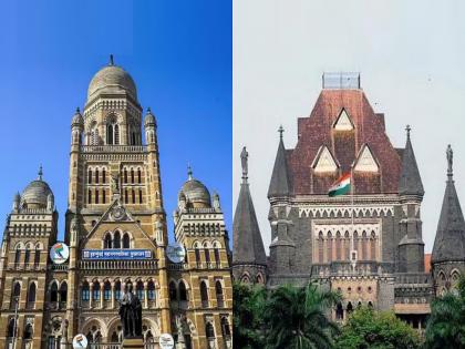 पालिका आयुक्तांना हायकोर्टाने फटकारले; न्यायालयीन कर्मचाऱ्यांना निवडणूक ड्युटीचे पत्र मागे - Marathi News | bmc election 2026 mumbai high Court reprimands municipal commissioner election duty letter to judicial employees withdrawn | Latest politics News at Lokmat.com
