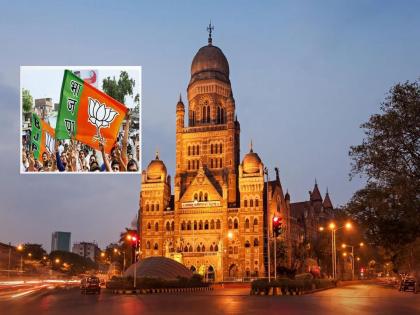 मुंबई महानगरपालिकेत भाजपा मुसंडी मारणार? १००हून अधिक जागा जिंकणार, अंतर्गत सर्व्हेतून दावा - Marathi News | BMC Election: BJP will make a comeback in Mumbai Municipal Corporation, will win more than 100 seats, claims internal survey | Latest maharashtra News at Lokmat.com