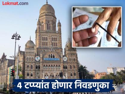 Maharashtra Election When will the municipal and district council elections be held? Big update revealed | Maharashtra Election : महापालिका, जिल्हा परिषदांच्या निवडणुका कधी होणार? समोर आली मोठी अपडेट Maharashtra Election When will the municipal and district council elections be held? Big update revealed | Maharashtra Election : महापालिका, जिल्हा परिषदांच्या निवडणुका कधी होणार? समोर आली मोठी अपडेट