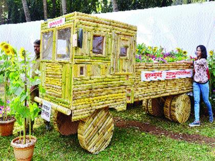 Promote tree conservation | वृक्ष संवर्धनासाठी प्रोत्साहन देणार