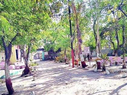 Peace at Bodevad tree benefited from death | बोदवड येथे वृक्ष संवर्धनातून मृतात्म्यालाही लाभतेय शांती