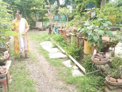 Created 50 'Bonsai' in 30 years! | ३० वर्षात तयार केले ५० ‘बोन्साय’!