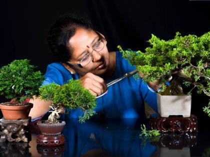 First World Council for Bonsai in Pune; 16 participants from across the country will participate | पुण्यात होणार बोन्सायची पहिली जागतिक परिषद; १६ देशातील कलाकार होणार सहभागी