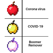 Boomer-remover:anger-over-virus-hashtag-corona virus | बूमर-रिमूव्हर : विनोदाची पातळी सोडून भरकटलेला  एक ट्रेण्ड