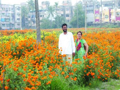 Employment in marathon flower march in Navaratri Festival | नवरात्रोत्सवात झेंडूच्या फुलांतून मिळाला रोजगार