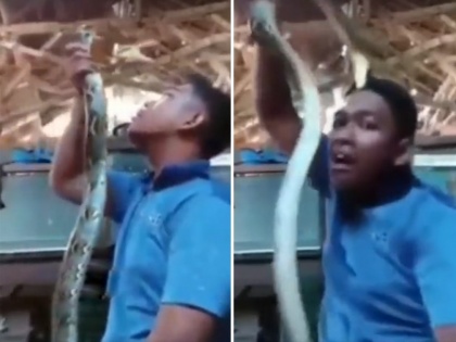 small boy playing with snake but snake attacks him shocking video goes viral | सापासोबतची मस्ती पडली महागात, आधी खेळ करायला गेला अन् नंतर झाला खेळखंडोबा