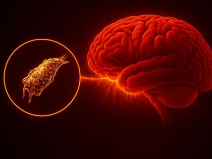 Kerala Reports 61 Brain-Eating Amoeba Cases, 19 Deaths; Health Alert Issued | केरळमध्ये मेंदू खाणाऱ्या अमीबाचा कहर, आतापर्यंत १९ जणांचा मृत्यू, 'ही' आहेत लक्षणे!