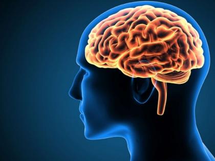 indian have smaller brain in size said study | पूर्व अन् पश्चिम देशांच्या तुलनेत भारतीयांचा मेंदू असतो लहान- रिसर्च