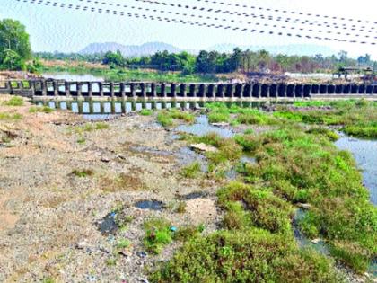 In December, the rivers start getting dry | डिसेंबरमध्येच नद्या पडू लागल्या कोरड्या