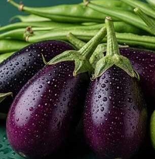 भलेही भरपूर पोषण देतात, टेस्टी लागतात पण काही लोकांसाठी वांगी घातक; पाहा कुणी आणि का खाऊ नयेत वांगी