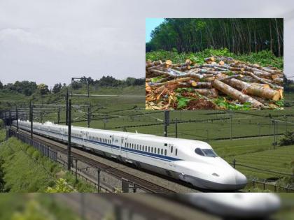 2368 trees of Mumbai-Palghar will be slaughtered for bullet train, approved by the State Tree Authority Committee | बुलेट ट्रेनसाठी मुंबई-पालघरच्या २३६८ झाडांची होणार कत्तल, राज्य वृक्ष प्राधिकरण समितीची मंजुरी