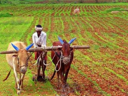 Budget 2020: Reassuring farmers, but what about guarantee? | अर्थसंकल्प: शेतकऱ्यांना दिलासा, पण हमीभावाचे काय ?