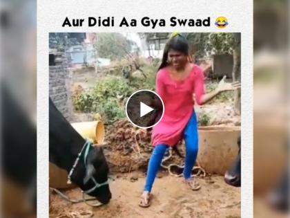 girl was dancing in front of buffalo learns lesson of lifetime video goes viral on social media | म्हशीसमोर मोठ्या ठेक्यात डान्स करत होती, म्हशीने शिकवला असा धडा की डान्सच विसरुन गेली