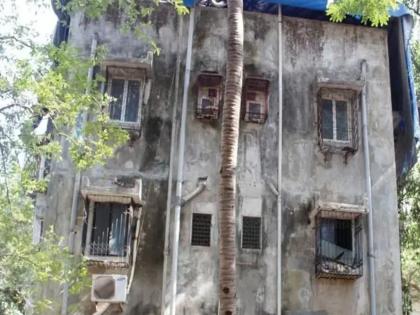 20 thousand rent for those living in the transit camp | संक्रमण शिबिरामध्ये राहणाऱ्यांना २० हजार भाडे