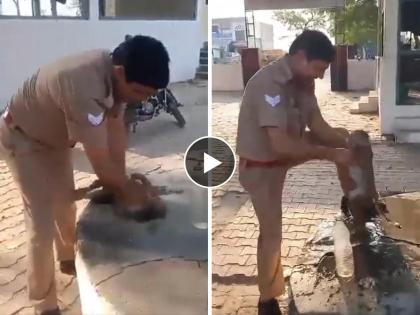 In Uttar Pradesh's Bulandshahr, a baby monkey fainted due to dehydration due to heatstroke and was saved by a policeman | उष्णतेचा कहर पण पोलिसाच्या कार्याला सलाम; बेशुद्ध झालेल्या माकडाचा वाचवला जीव