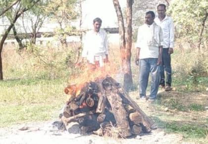 decomposed body of a leopard was found in hanwatkhed beet | हनवतखेड बीटमध्ये बिबट्याचा कुजलेला मृतदेह आढळला