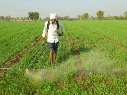 cheating of farmers by spraying bagasse herbicides | बाेगस तणनाशकांची फवारणी करून शेतकऱ्यांची फसवणूक