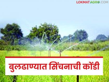latest news Buldhana Sinchan Prakalpa: Projects on the map, drought in the fields; The shocking reality of Buldhana | Buldhana Sinchan Prakalpa : नकाशात प्रकल्प, शेतात दुष्काळ; बुलढाण्याचं धक्कादायक वास्तव latest news Buldhana Sinchan Prakalpa: Projects on the map, drought in the fields; The shocking reality of Buldhana | Buldhana Sinchan Prakalpa : नकाशात प्रकल्प, शेतात दुष्काळ; बुलढाण्याचं धक्कादायक वास्तव