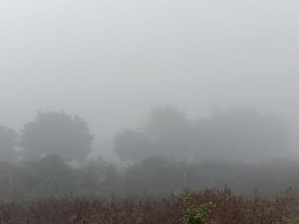 Fog may prove dangerous to Crops in Buldhana | पिकांवर आर्द्रतायुक्त धुक्याचे संकट!