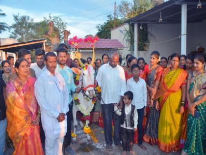 In Baramati a meal of pretty khillar cow dhows A procession was taken out wearing Paithani | बारामतीत चक्क खिल्लार गाईचे डोहाळे जेवण; पैठणी परिधान करून काढली मिरवणूक