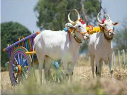 E-Gopala App for Cattle Breeders; Keep the horoscope of bulls 'Sarja-Raja' on mobile now! | पशुपालकांसाठी आले ई-गोपाला ॲप; ‘सर्जा-राजा’ची कुंडली ठेवा आता मोबाइलवर!