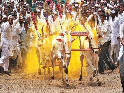 Bullock cart races are not allowed on political events, birthdays; New regulations announced | राजकीय कार्यक्रम, वाढदिवसाला बैलगाडा शर्यतींना परवानगी नाही; नवी नियमावली जाहीर