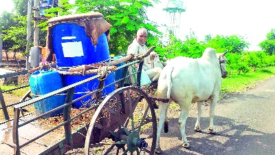 Sprouting bullock carries water! | फवारणीसाठी बैलगाडीने न्यावे लागते पाणी!