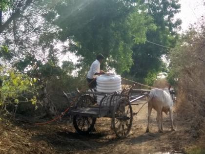 Water shortage in Mangrulpir taluka; Water is being brought from the river bed | मंगरुळपीर तालुक्यात पाणीटंचाई ; शेतशिवारातून बैलबंडीने आणले जातेय पाणी