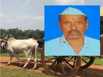 A farmer died as a bullock cart fell on him in an accident | पोळ्यानंतर दुसऱ्याच दिवशी नवी बैलजोडी उधळली; बैलगाडी उलटल्याने शेतकर्‍याचा मृत्यू